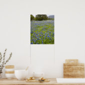 Poster Hill Country, Texas, Bluebonnets et Oak tree (Cuisine)