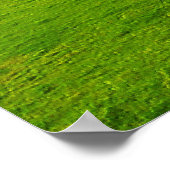 Poster Hill Top (Coin)