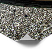 Poster Hillbilly Deluxe Sportster Chop (Coin)