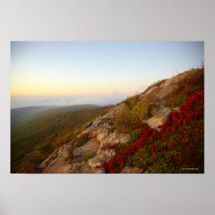 Poster Hillside rocheux, fleurs rouges, parc national