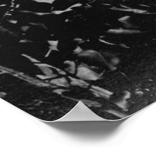 Poster Hilo, Hawaii - Vue de la ville (Coin)