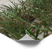 Poster Hilton Head Island Beach Thunderstorm Boardwalk (Coin)