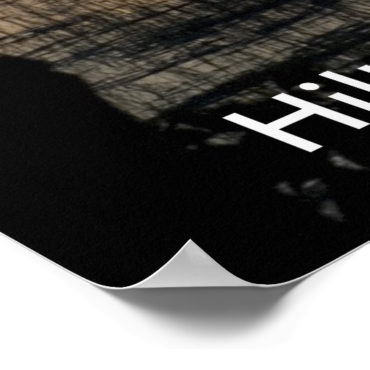 Poster Hilton Head Island, SC (Coin)