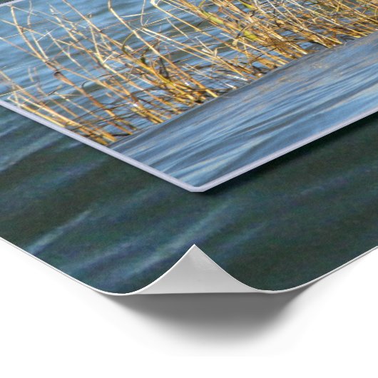 Poster Hilton Head triptyque d'eau (Coin)