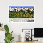 Poster " Himalaya : 1988 High Panorama Map ... (Bureau à domicile)