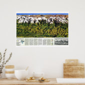 Poster " Himalaya : 1988 High Panorama Map ... (Cuisine)