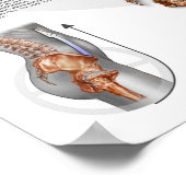 Poster Hiperlordosis - définition, causes et traitement (Coin)