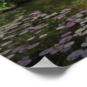 Poster Hippo de canonball (Coin)