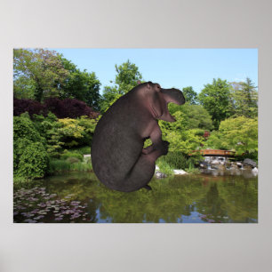 Poster Hippo de canonball