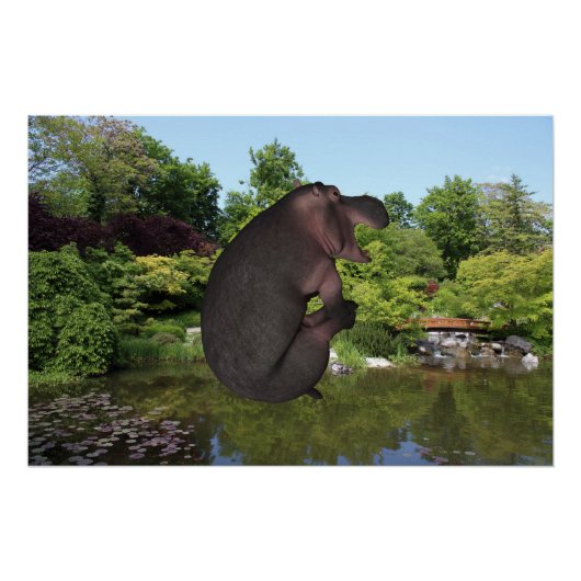 Poster Hippo de canonball (Devant)