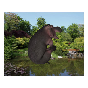 Poster Hippo de canonball