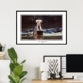 Poster Hippo - Serentgeti (Bureau à domicile)