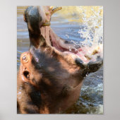 Poster Hippo Splash (Devant)