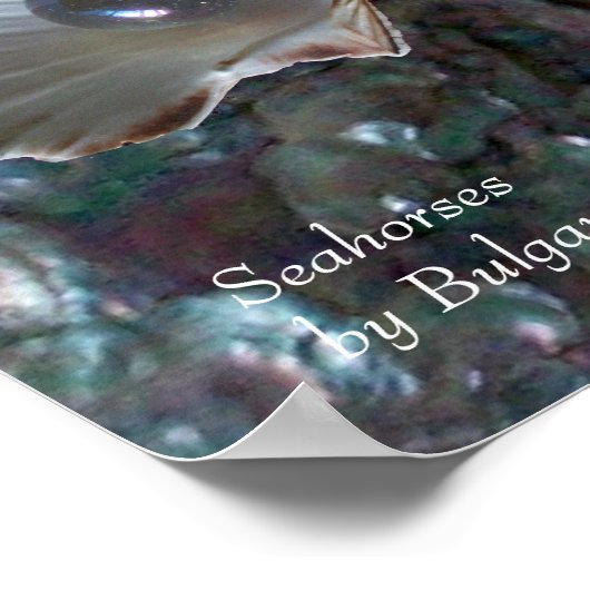 Poster HIPPOCAMPES COQUILLES, Nacre et pierres précieuses (Coin)