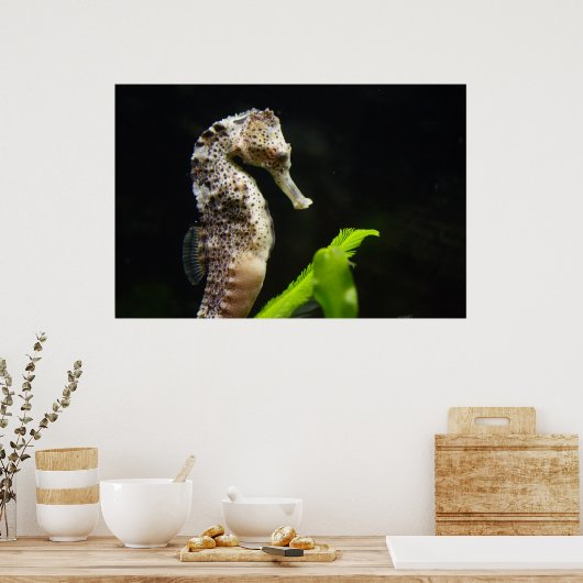 Poster Hippocampus (Cuisine)