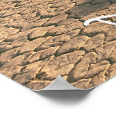 Poster Hippodrome Playa (Coin)