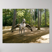 Poster Hippogriff (Devant)