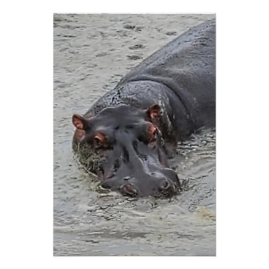 Poster Hippoposterus (Devant)