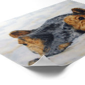 Poster hippopotame (Coin)