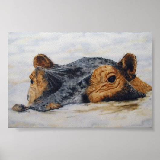 Poster hippopotame (Devant)