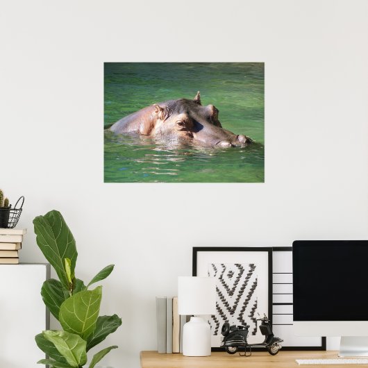 Poster Hippopotame Nager À La Surface (Bureau à domicile)