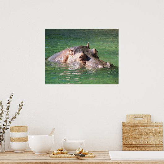 Poster Hippopotame Nager À La Surface (Cuisine)