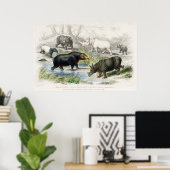 Poster Hippopotame, Rhinoceros indiens, Muchoco... (Bureau à domicile)