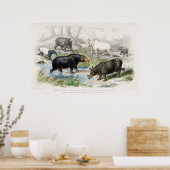 Poster Hippopotame, Rhinoceros indiens, Muchoco... (Cuisine)