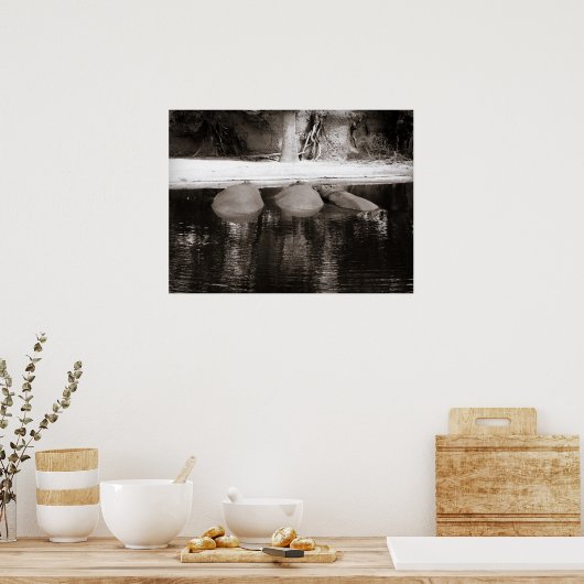Poster Hippopotames reposant dans l'eau Faune noire et bl (Cuisine)