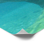 Poster Hippopotamus (Coin)