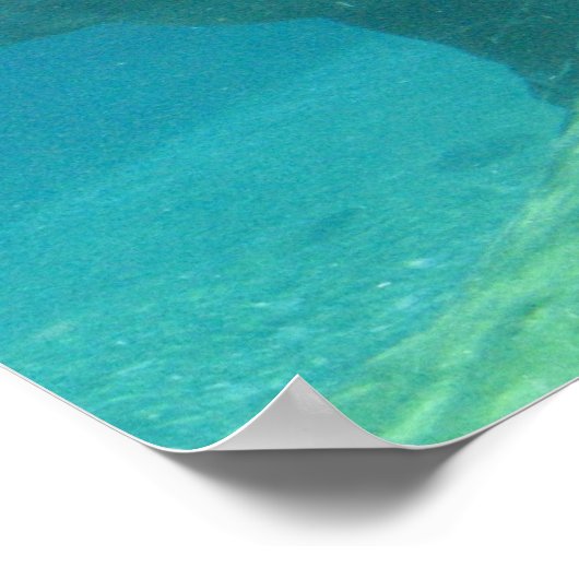 Poster Hippopotamus (Coin)