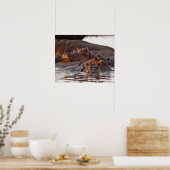 Poster Hippopotamus, Hippopotamus amphibius, lac (Cuisine)