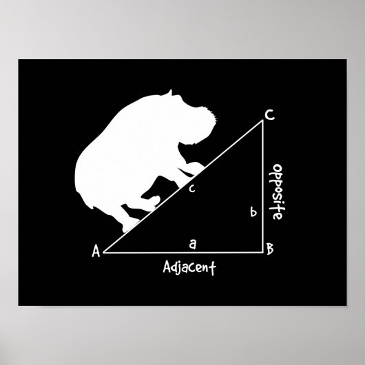 Poster Hippotenuse (Devant)