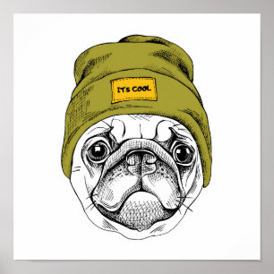 Poster Hipster Pug   It's Cool