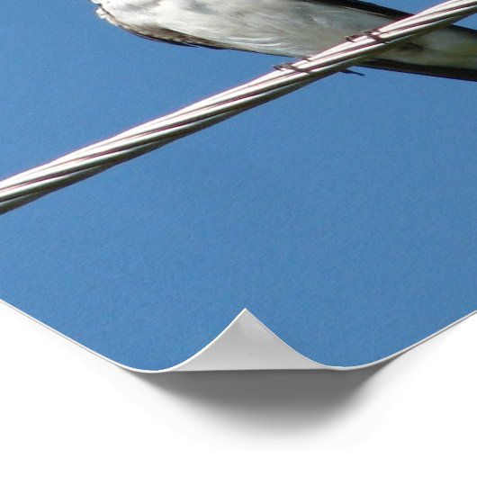 Poster Hirondelle à la grange (Coin)