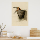 Poster Hirondelle à la grange (Cuisine)