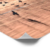 Poster Hirondelle au coucher du soleil (Coin)