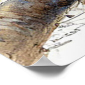 Poster Hirondelle de grange nichée sur une branche couver (Coin)