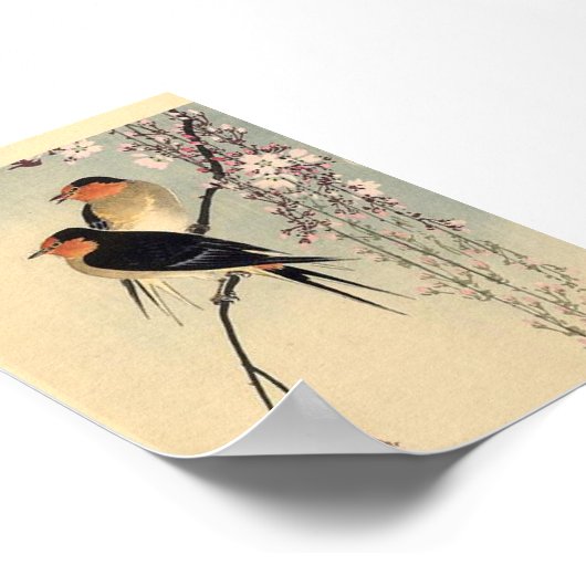 Poster hirondelles aux fleurs de cerisiers - Ohara Koson (Coin)