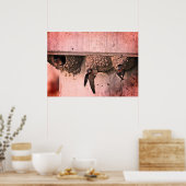 Poster Hirondelles Cliff (Cuisine)