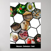 Poster Histoire Collecte de fraises, pollinisateurs et re (Devant)