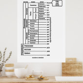 Poster Histoire de la Terre (Cuisine)