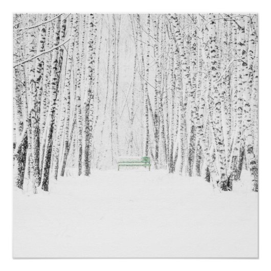 Poster Histoire de Noël blanche (Devant)