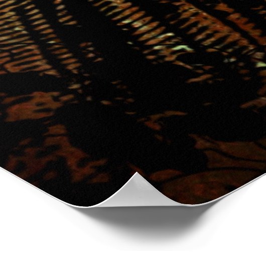 Poster Histoire des écrivains (Coin)