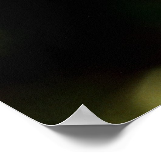 Poster Histoire du colibri (Coin)