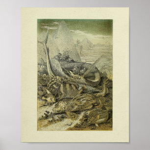 Poster Histoire Naturelle vintage Poisson Illustration Ar