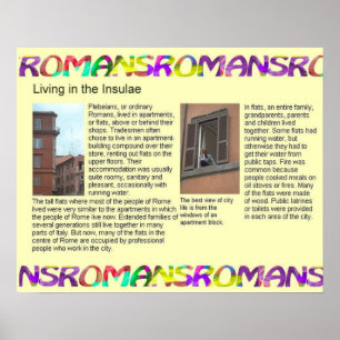 Poster Histoire Romains, Vivre dans les Insulés