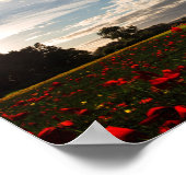 Poster Histoire Vulcaine (Coin)