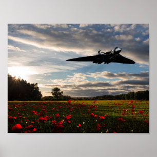Poster Histoire Vulcaine