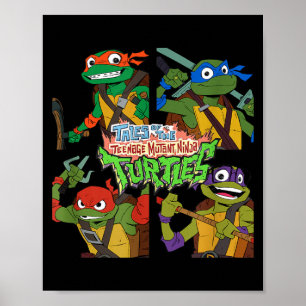 Poster Histoires des Tortues Ninja Mutantes nage Box Up